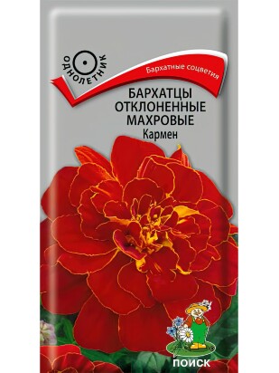 Бархатцы отклоненные махровые Кармен [Поиск]