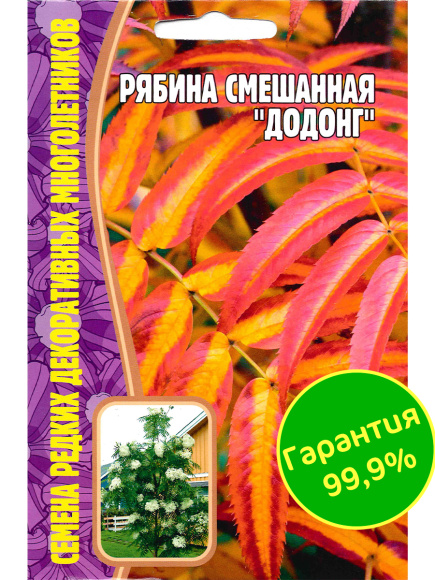 Рябина Додонг смешанная [Семена редких растений] купить с доставкой