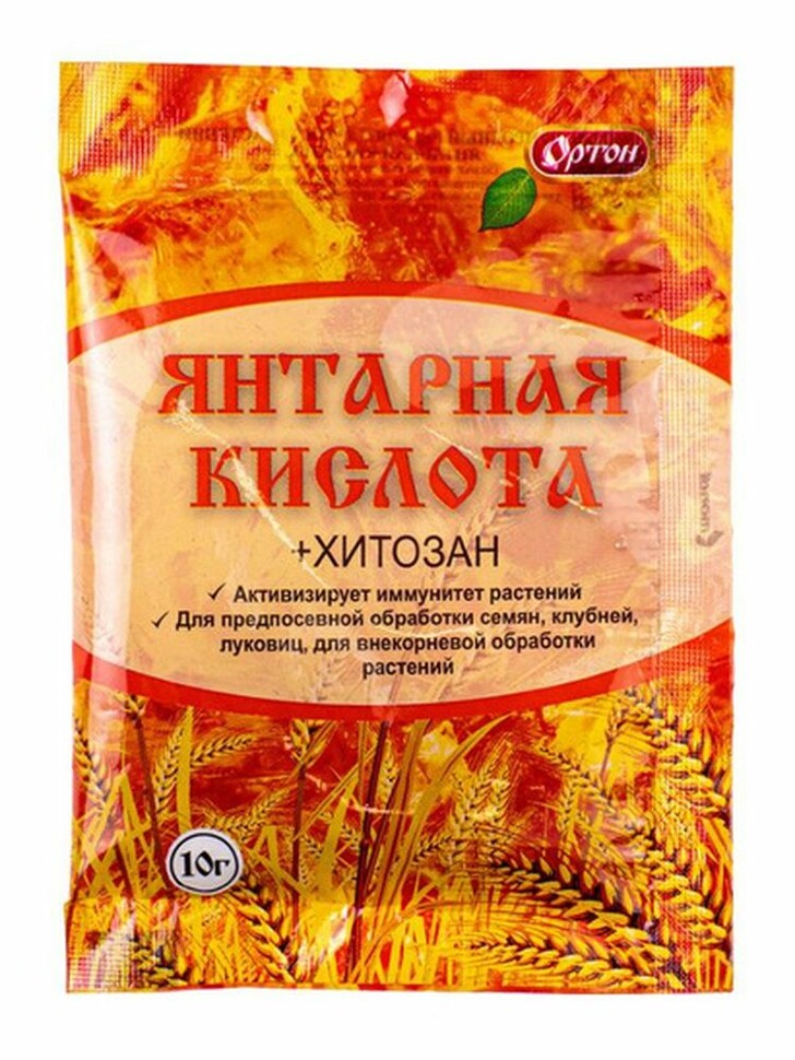 Янтарная кислота 10 гр [Ортон] купить с доставкой