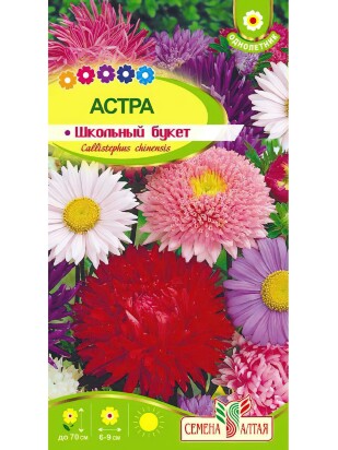 Астра Школьный букет смесь [Семена алтая]