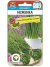 Лук Шнитт Неженка [Сибирский сад] купить с доставкой