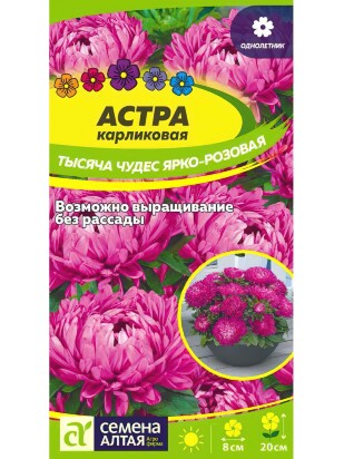 Астра Тысяча чудес ярко-розовая карликовая [Семена алтая]