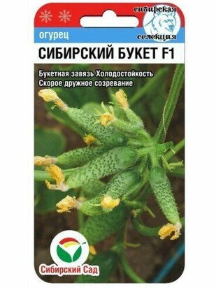 Огурец Сибирский букет [Сибирский сад]