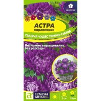 Астра Тысяча чудес темно-синяя карликовая (Семена алтая)