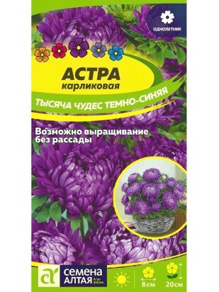 Астра Тысяча чудес темно-синяя карликовая [Семена алтая]