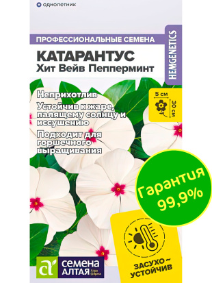 Катарантус Хит Вейв Пепперминт [Семена алтая]