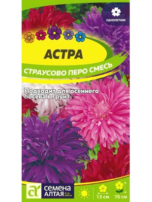 Астра Страусово Перо Смесь окрасок [Семена алтая]