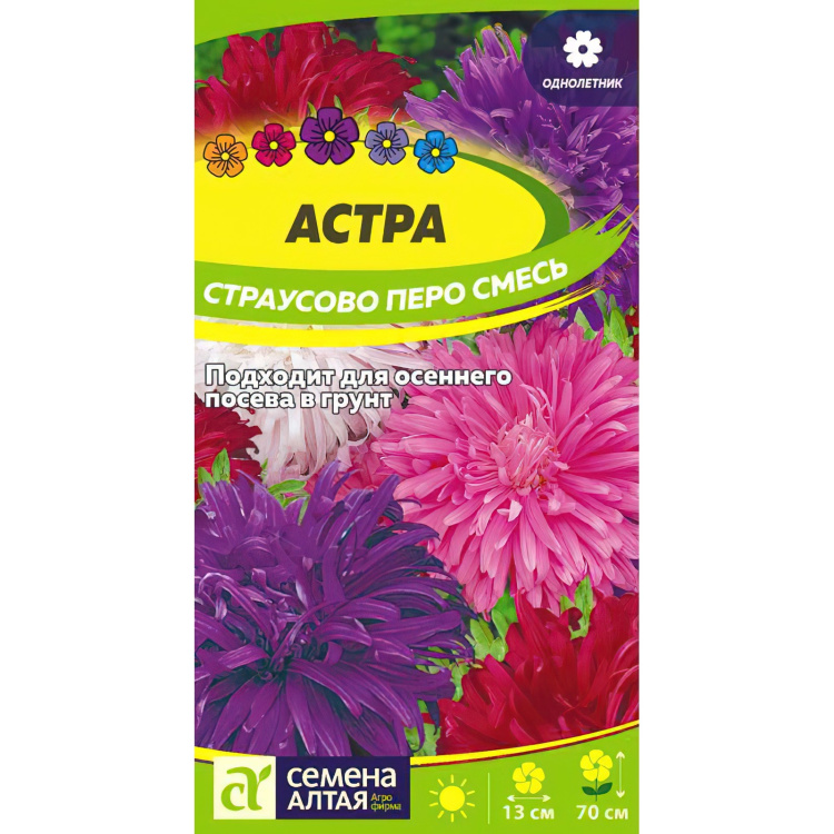 Астра Страусово Перо Смесь окрасок (Семена алтая) можно купить недорого с доставкой в питомнике Любвитский