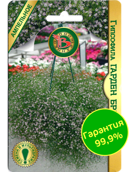 Гипсофила Гарден Брайт Пинк [Биотехника] купить с доставкой