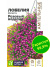 Лобелия Регатта Розовый Водопад [Семена алтая] купить с доставкой