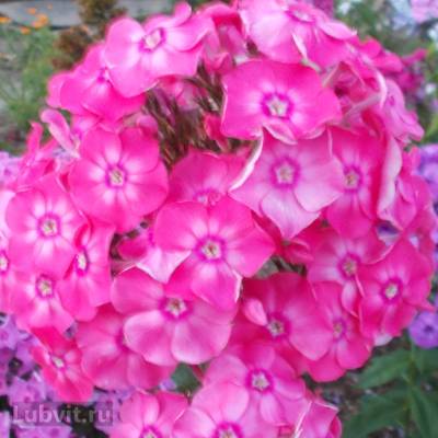 Учитывайте условия выращивания