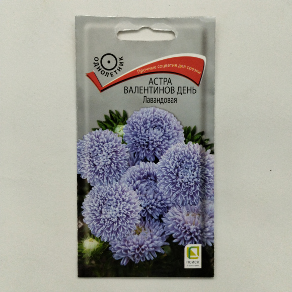 Астра Валентинов день Лавандовая [Поиск] купить с доставкой