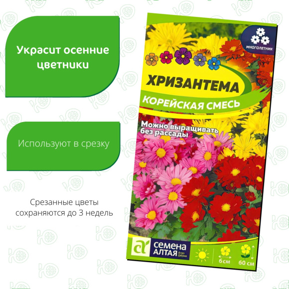 Хризантема Корейская смесь [Семена алтая] купить с доставкой