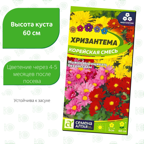 Хризантема Корейская смесь [Семена алтая] купить с доставкой