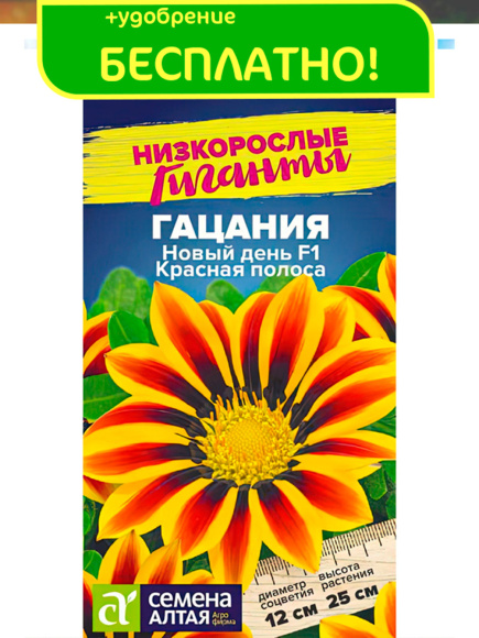 Гацания Новый день Красная полоса [Семена алтая] купить с доставкой