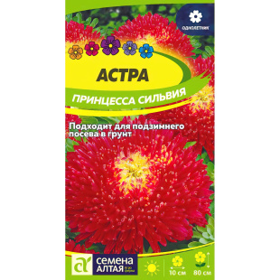 Астра Принцесса Сильвия [Семена алтая]