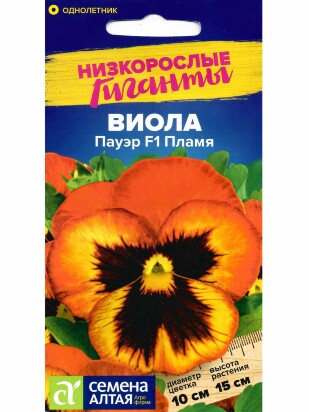 Виола Пауэр Пламя [Семена алтая]