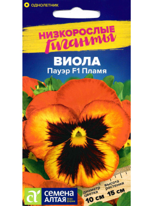 Виола Пауэр Пламя [Семена алтая]