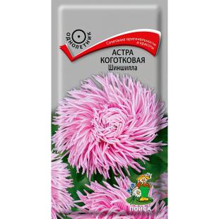 Астра коготковая Шиншилла [Поиск]