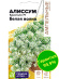 Алиссум Кристалл Белая Волна ампельный [Семена алтая] купить с доставкой