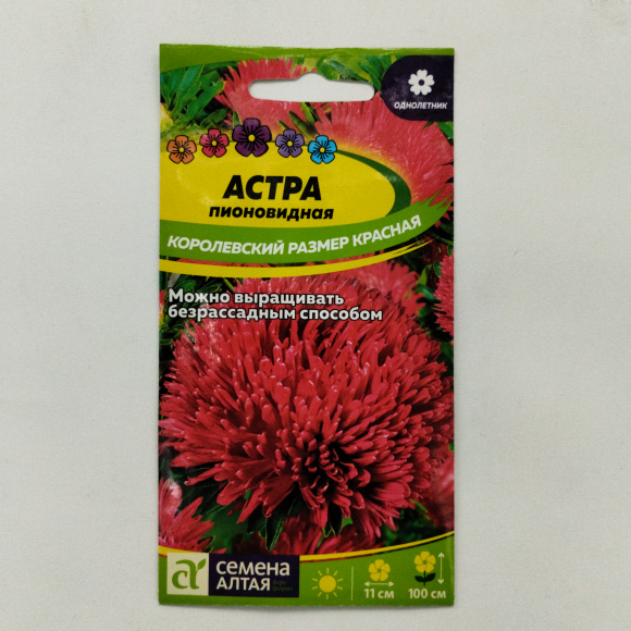 Астра Королевский размер Красная [Семена алтая] купить с доставкой