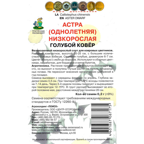 Астра низкорослая Голубой ковёр [Поиск] купить с доставкой