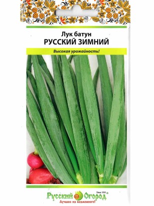 Лук Батун Русский Зимний [Русский Огород]