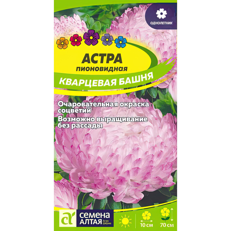 Астра Кварцевая Башня (Семена алтая) можно купить недорого с доставкой в питомнике Любвитский