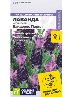 Лаванда Бандерос Парпл испанская [Семена алтая]
