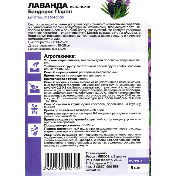 Лаванда Бандерос Парпл испанская [Семена алтая] купить с доставкой