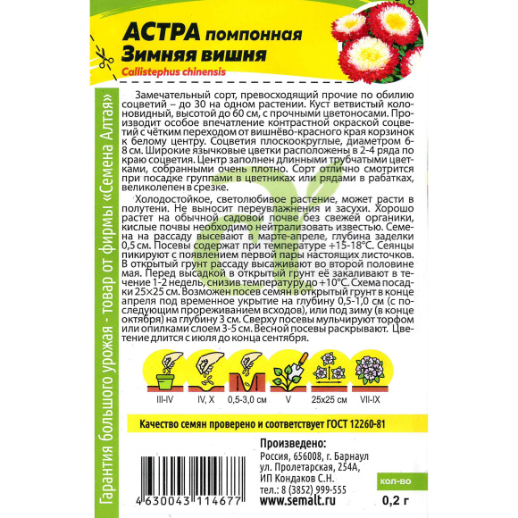 Астра Зимняя Вишня помпонная [Семена алтая] купить с доставкой
