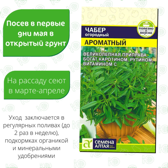 Чабер Ароматный [Семена алтая] купить с доставкой