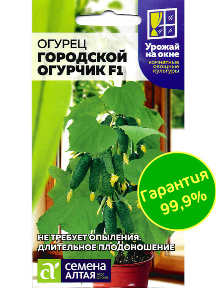 Огурец Городской Огурчик [Семена алтая] купить с доставкой