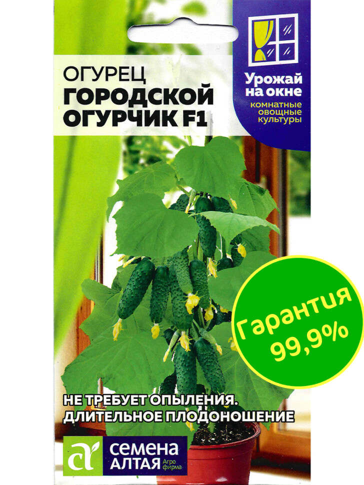 Огурец Городской Огурчик [Семена алтая] купить с доставкой