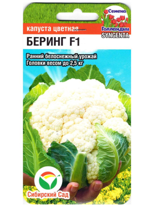 Капуста цветная Беринг [Сибирский сад]