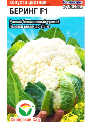 Капуста цветная Беринг [Сибирский сад]
