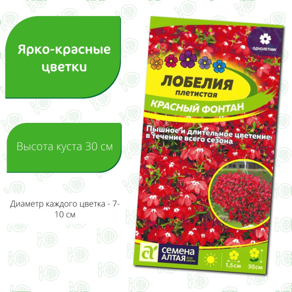 Лобелия Красный Фонтан плетистая [Семена алтая] купить с доставкой