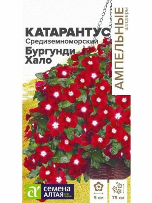 Катарантус Средиземноморский Бургунди Хало [Семена алтая]