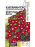 Катарантус Средиземноморский Бургунди Хало [Семена алтая]