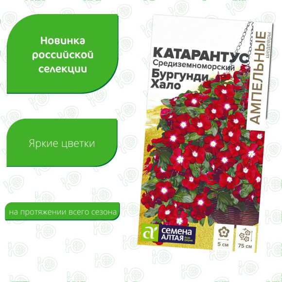 Катарантус Средиземноморский Бургунди Хало [Семена алтая] купить с доставкой
