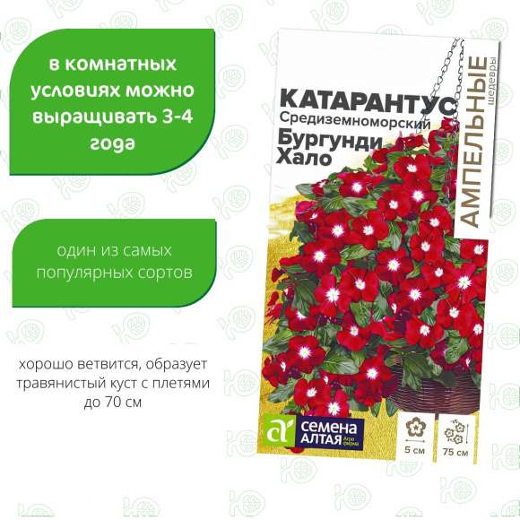 Катарантус Средиземноморский Бургунди Хало [Семена алтая] купить с доставкой