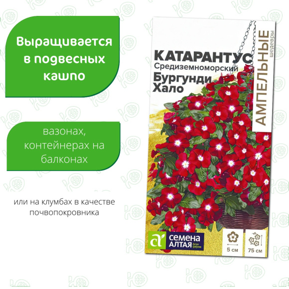 Катарантус Средиземноморский Бургунди Хало [Семена алтая] купить с доставкой
