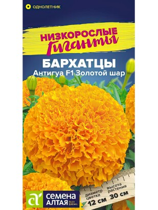 Бархатцы Антигуа Золотой шар [Семена алтая]
