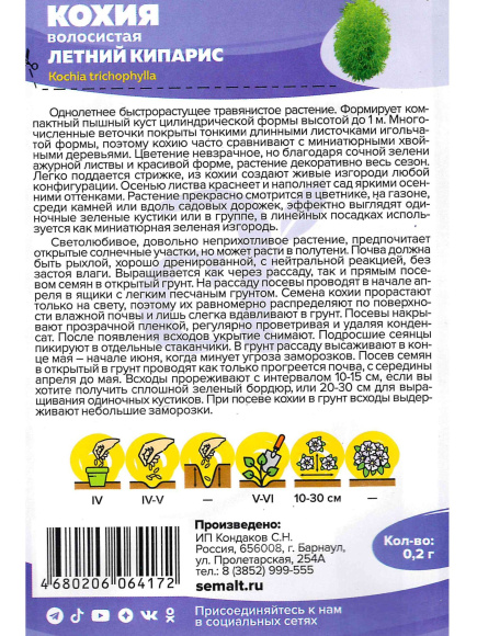 Кохия Летний Кипарис [Семена алтая] купить с доставкой