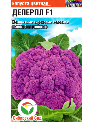 Капуста цветная Деперпл [Сибирский сад]