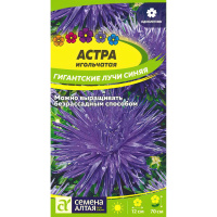 Астра Гигантские лучи Синяя (Семена алтая)