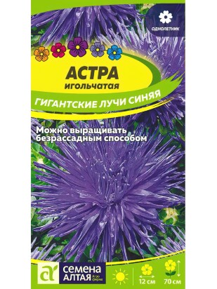 Астра Гигантские лучи Синяя [Семена алтая]