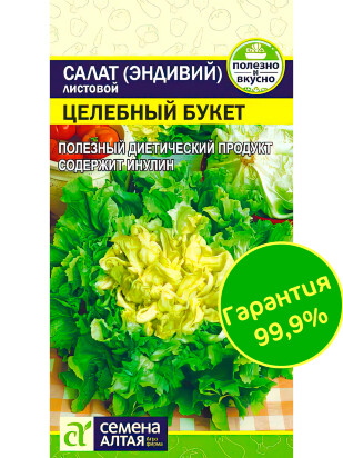 Салат Эндивий Целебный Букет [Семена алтая]