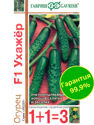 Огурец Ухажер [Гавриш]