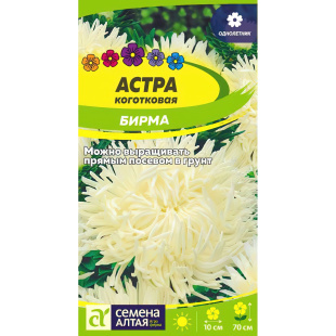 Астра Бирма коготковая [Семена алтая]